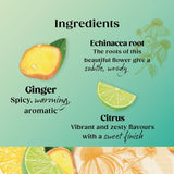 Twinings Defence Green Tea with Citrus Ginger 20 bags (British brand)