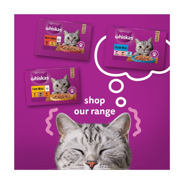 Whiskas wet cat food ocean menu in jelly 6 x 400g tins (British brand)