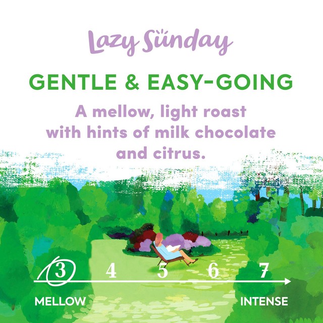 Taylors Lazy Sunday coffee beans 200g (British brand)