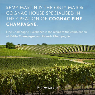 M&S Remy Martin VSOP Cognac Fine Champagne 35cl- Buy online at McGrocer