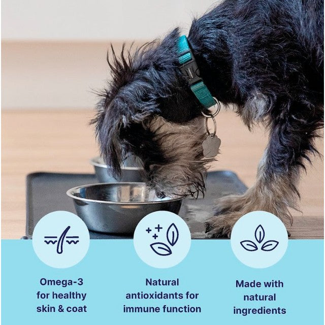 Tails Inner Vitality Chicken Adult Dog Wet Food 400g (British brand)