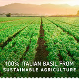 Barilla pesto sauce with basil and rocket 190g - British product