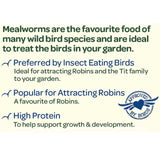 Peckish mealworms for wild birds 500g, imported from the UK