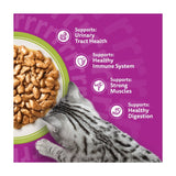 Whiskas senior cat food mixed menu gravy pouches 12x85g (British brand)