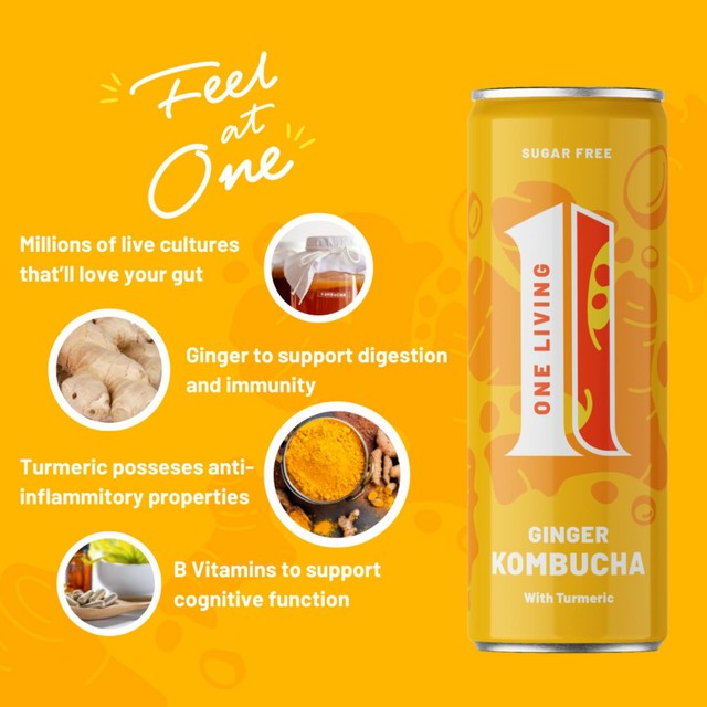 One Living ginger kombucha multipack, imported from the UK