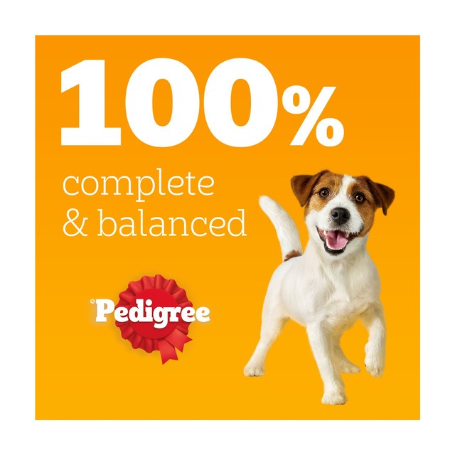 Pedigree wet dog food pouches mixed gravy 40 x 100g, imported from the UK