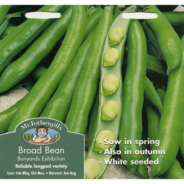 Mr Fothergill's Seeds Broad Bean Bunyards Exhibition seeds - British product