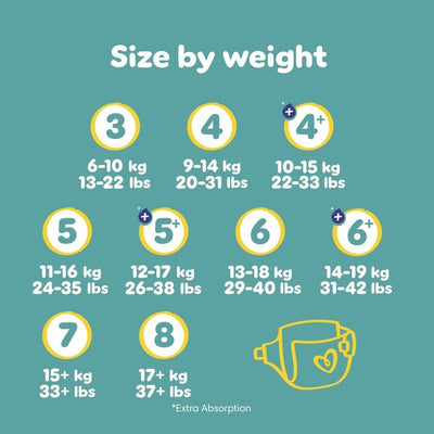 Pampers Baby-Dry Windeln Größe 7 Essential Pack 30
