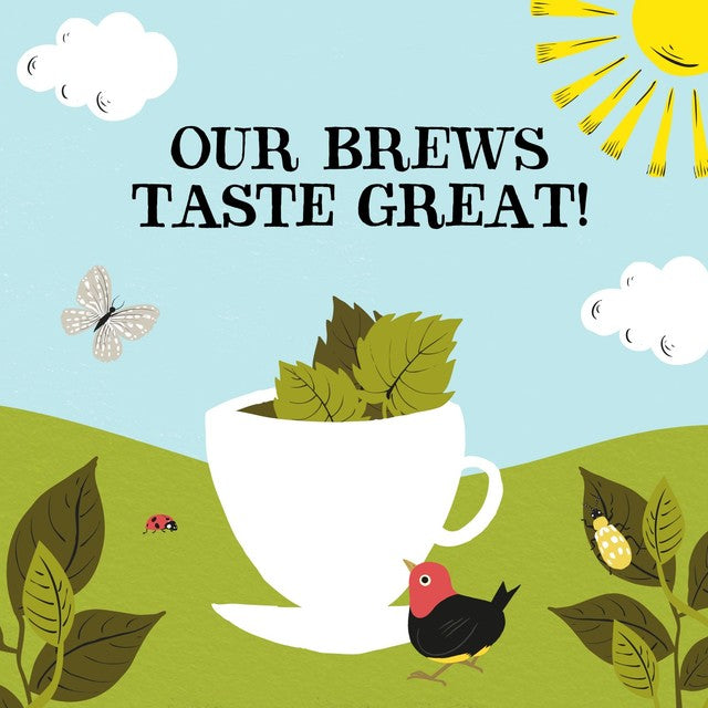 Clipper Organic Nettle Tea Bags 20 Pack - British product