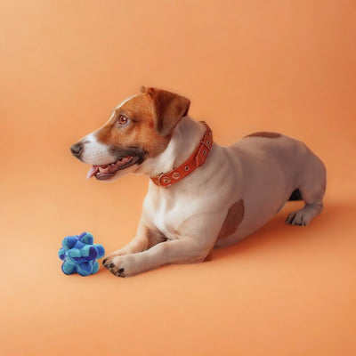 Jouet pour chien Nike MaxGrind Pop It petit / moyen