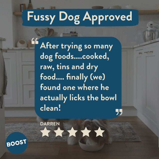 Boost Pet Meat Feast complete dog meal (British brand)