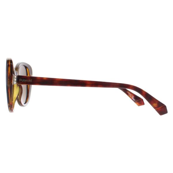 Polaroid Havana Bronze polarized women's sunglasses, UK version