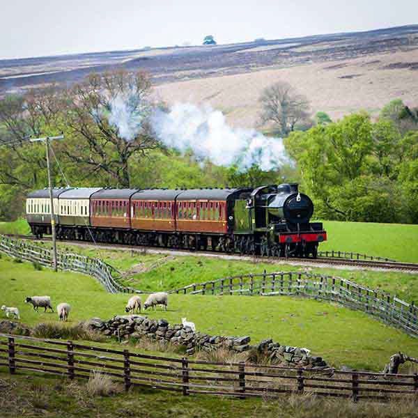 Find Me a Gift Steam Train Experience for Two GOODS Superdrug   