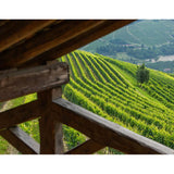 Tenuta Cucco Barolo wine 2019 75cl, UK version