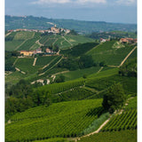 Tenuta Cucco Barolo wine 2019 75cl, UK version