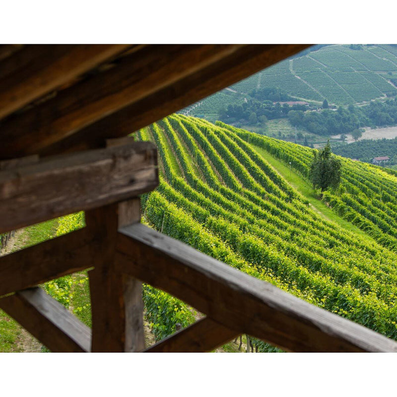 Tenuta Cucco Barolo wine 2019 75cl, UK version