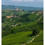 Tenuta Cucco Barolo wine 2019 75cl, UK version