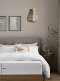 White brushed cotton supersoft deep fitted sheet (British brand)