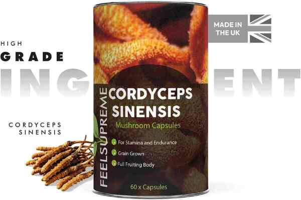 Feel Supreme Cordyceps Sinensis 60 capsules, imported from the UK