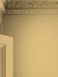 Laura Ashley Matt Emulsion Paint Yellow 100ml tester, imported from the UK