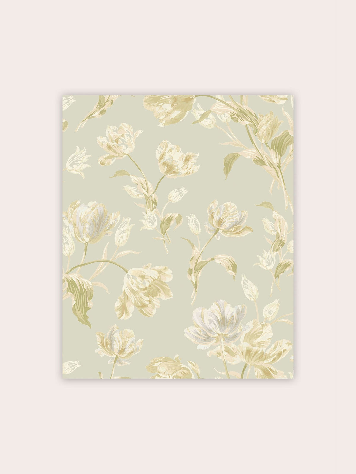 Laura Ashley Gosford wallpaper sample sage green (British brand)