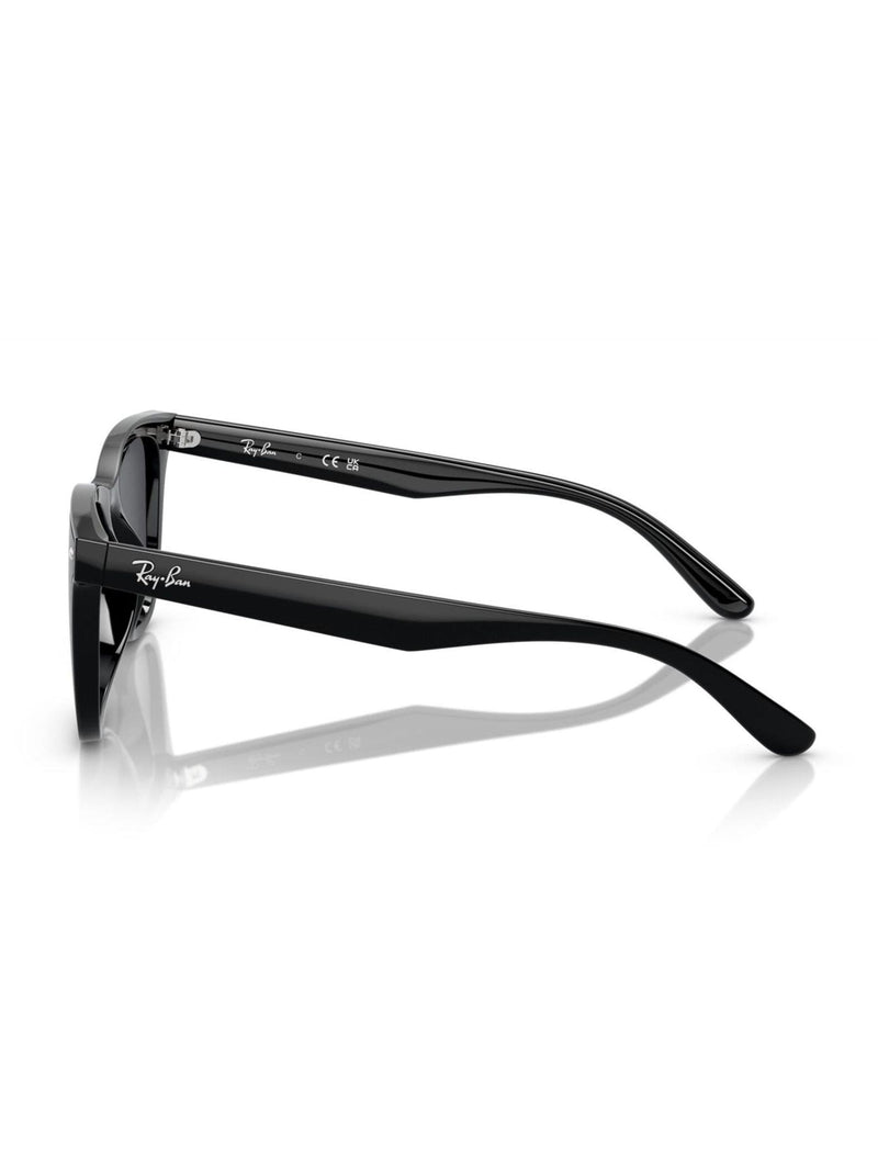 Ray-Ban Black Sunglasses