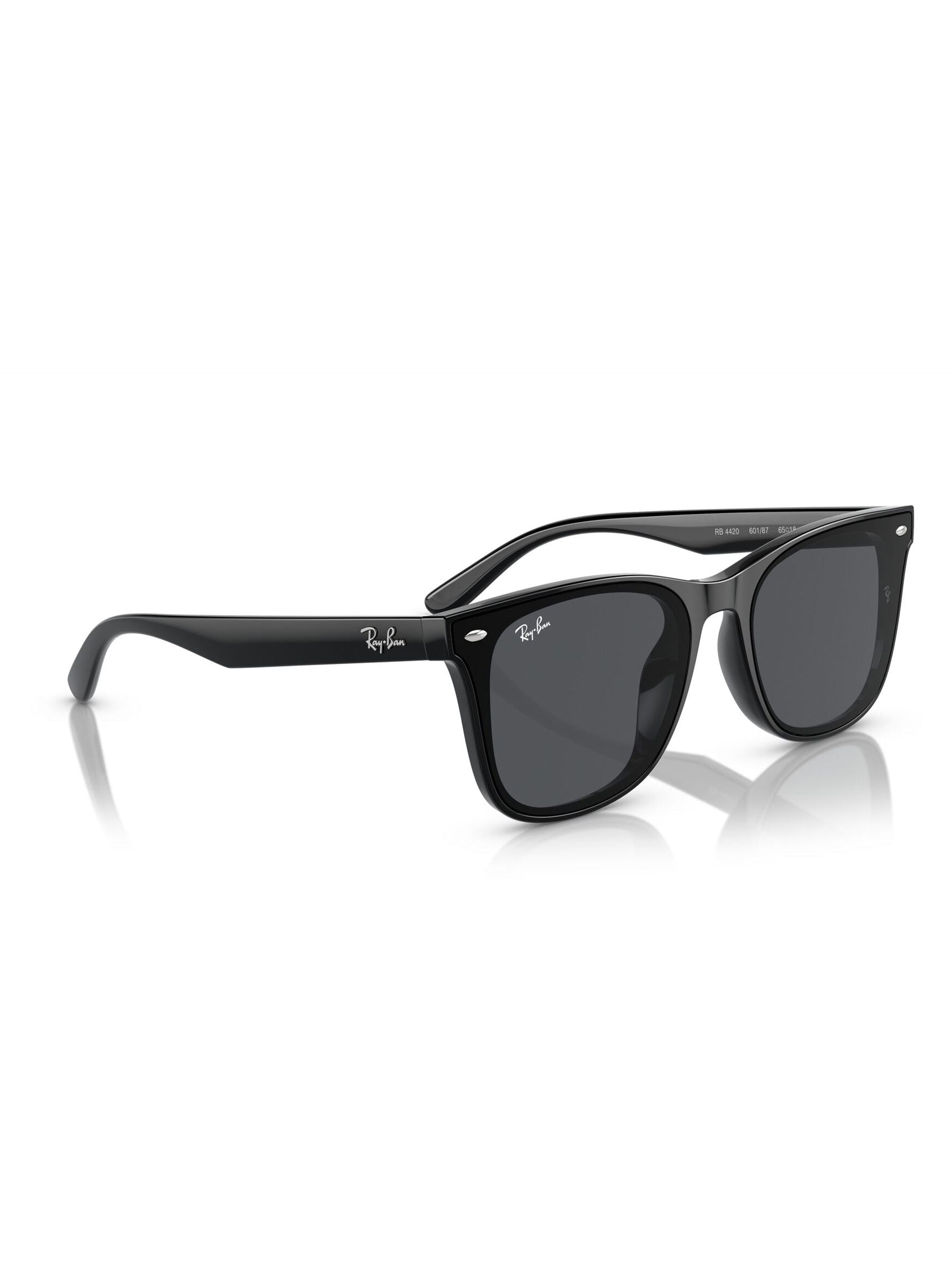 Ray-Ban Black Sunglasses