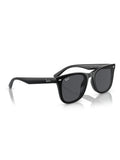 Ray-Ban Black Sunglasses