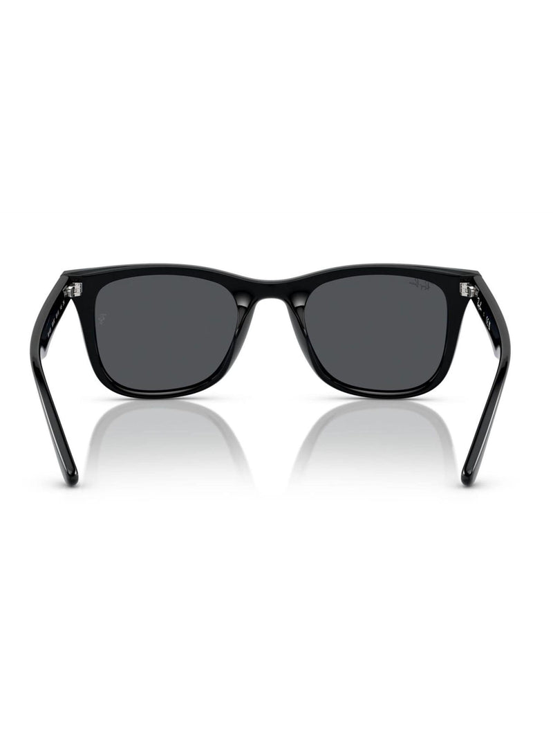 Ray-Ban Black Sunglasses