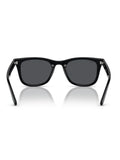 Ray-Ban Black Sunglasses
