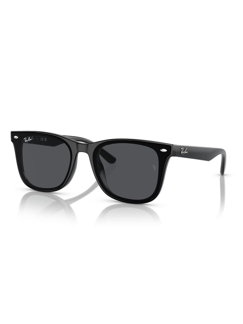 Ray-Ban Black Sunglasses