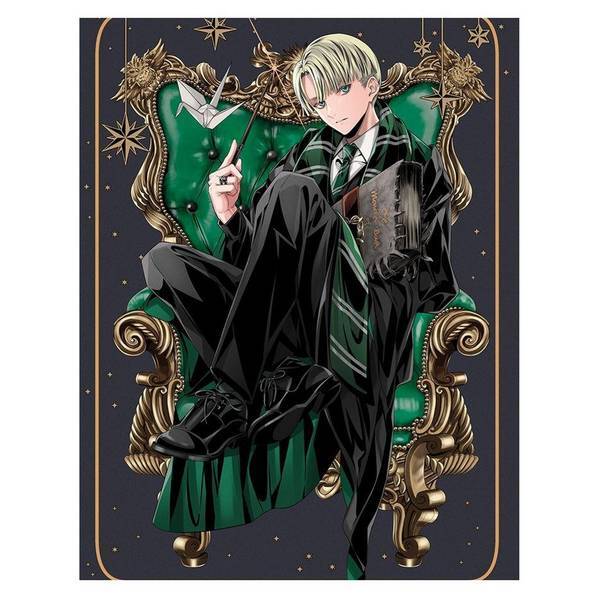 Harry Potter chair Draco Malfoy print, imported from the UK