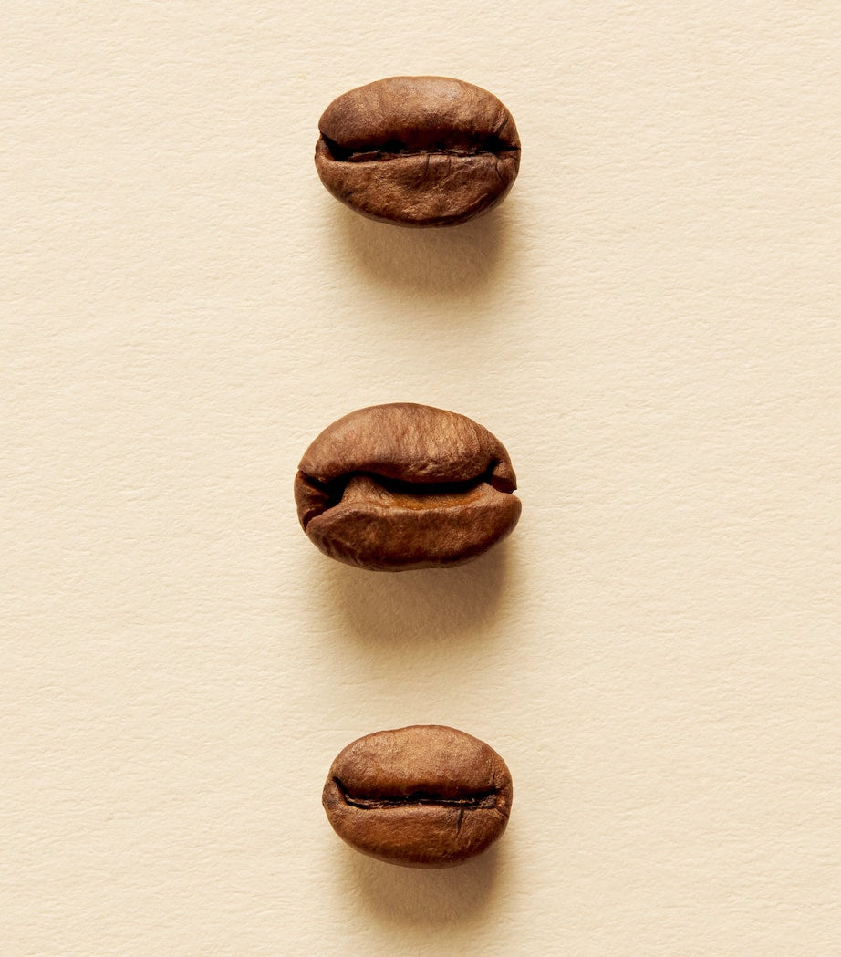 Harrods Knightsbridge Blend coffee beans 250g British brand