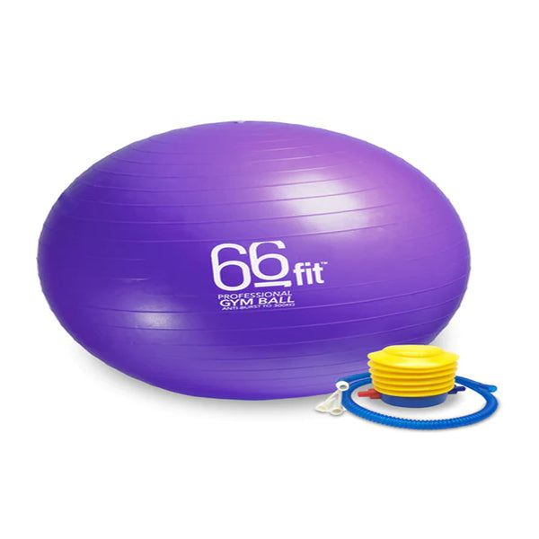 66fit Exercise Balls 60cm - Silver