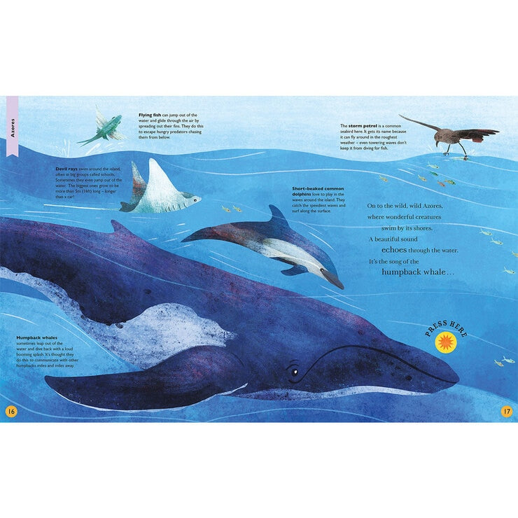 Sounds Assortment Book children's interactive sound book, UK version