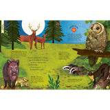 Sounds Assortment Book children's interactive sound book, UK version