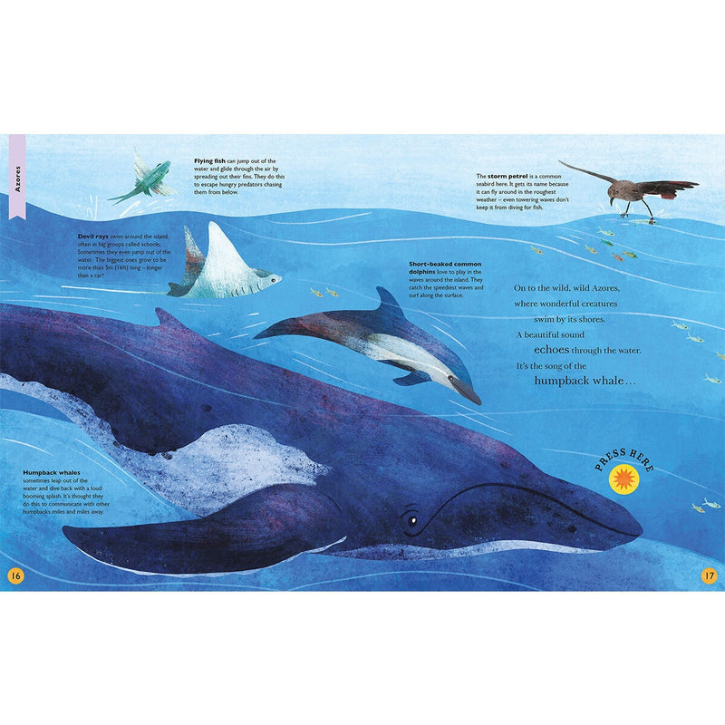 Sounds Assortment Book children's interactive sound book, UK version