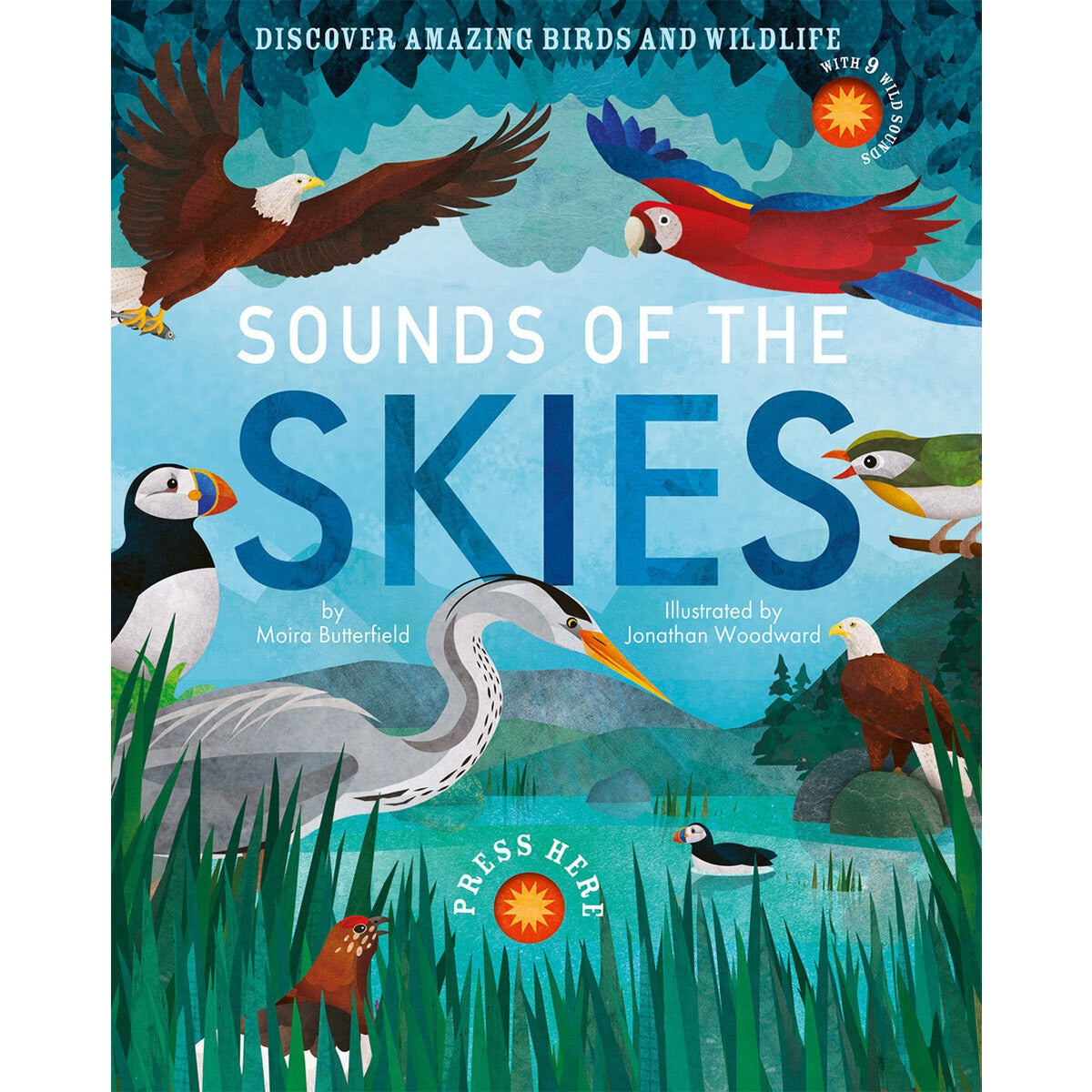 Sounds Assortment Book children's interactive sound book, UK version