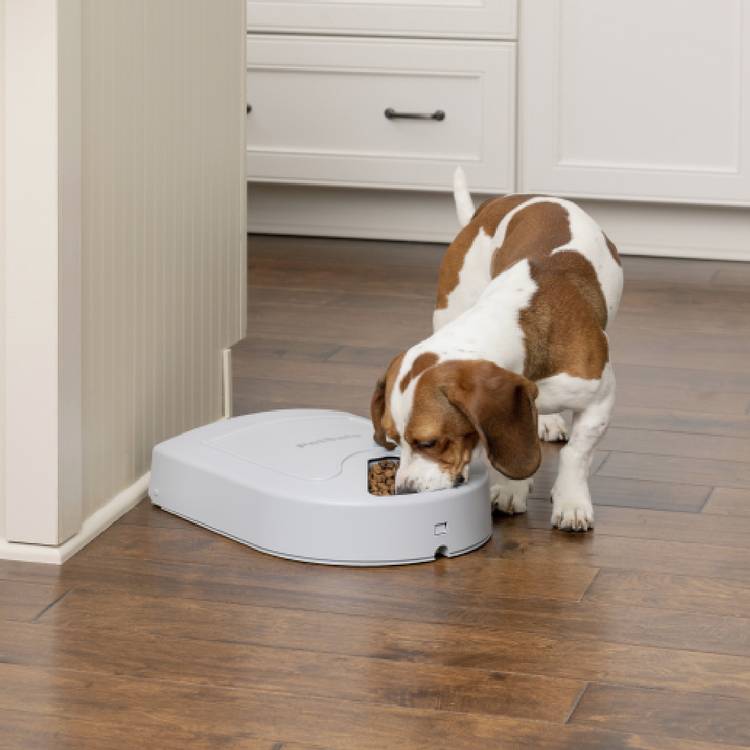 PetSafe automatic pet feeder 5 meal, imported from the UK