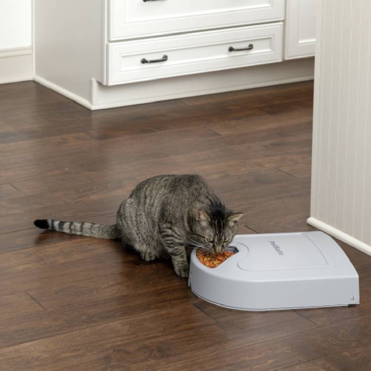 PetSafe automatic pet feeder 5 meal, imported from the UK