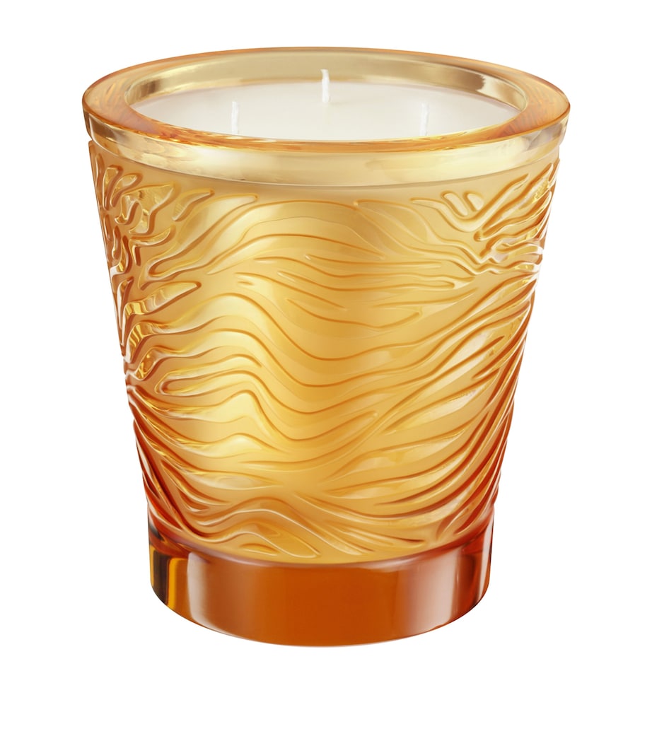 Lalique Jungle Voyage scented candle 750g, UK version