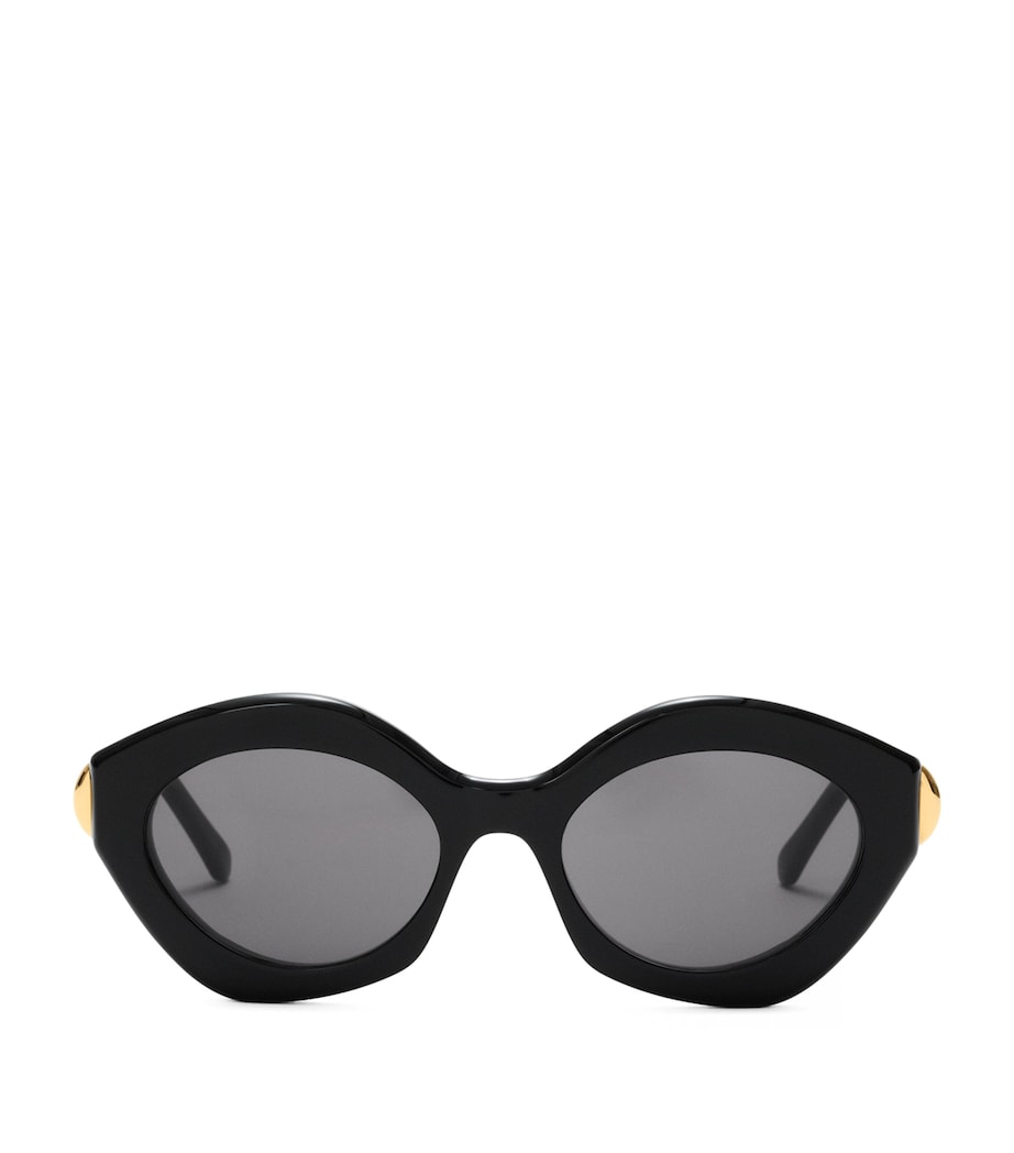 LOEWE acetate coil cat eye sunglasses with gold details (British brand)