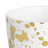 Habitat 60 Gold Edit white porcelain nibble bowl set, UK version