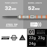 Target Raymond van Barneveld darts set 24g, UK version