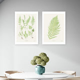 East End Prints Botan vintage art print A3, UK version