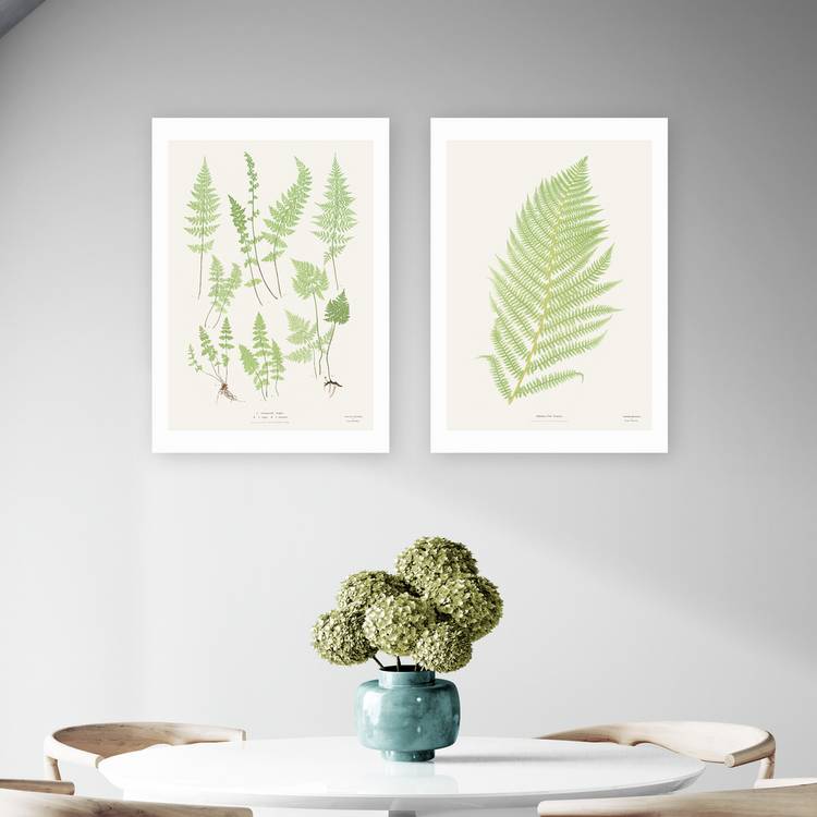 East End Prints Botan vintage art print A3, UK version