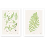 East End Prints Botan vintage art print A3, UK version