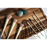 So Eco exclusive brush and sponge set (British brand)