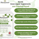 Pharmanostix Green Lipped Mussel supplement capsules 500mg (British brand)
