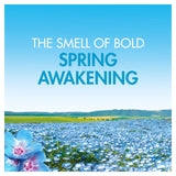 Bold Washing Powder Spring Awakening 40 Washes   2000g